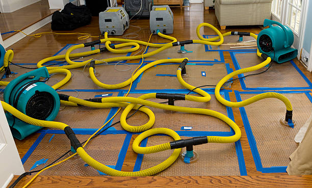 Professional Storm Water Damage Restoration technician working in Airway Heights, WA